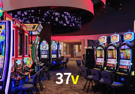 37v,37v.com